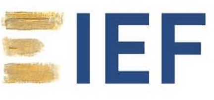 EIEF